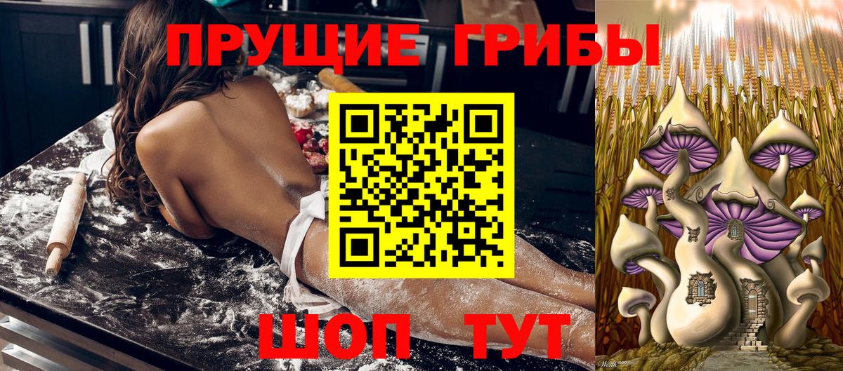 Алапаевск  Псилоцибиновые грибы Psilocybe  Галлюциногенные грибы мухоморы  Вход с VPN 
