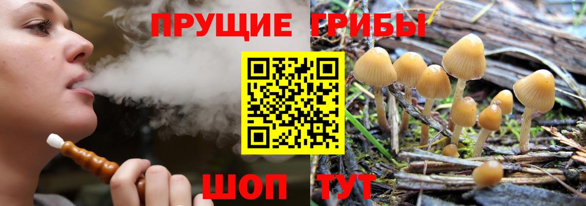 Галлюциногенные грибы Psilocybine cubensis Алапаевск